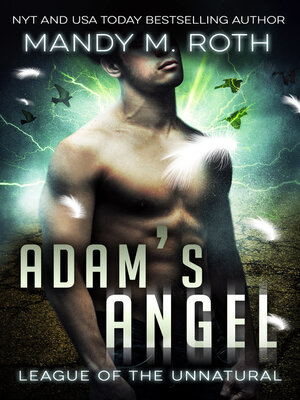 cover image of Adam's Angel